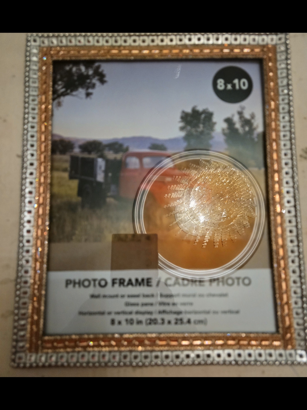 Rhinestone Embellished Gold Silver  Photo Frame - 8x10 New Handmade